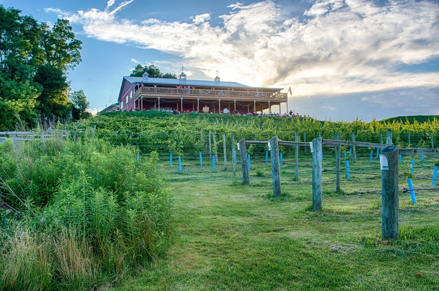 $20 For A VIP Tour & Tasting Package For 2 (Reg. $40)