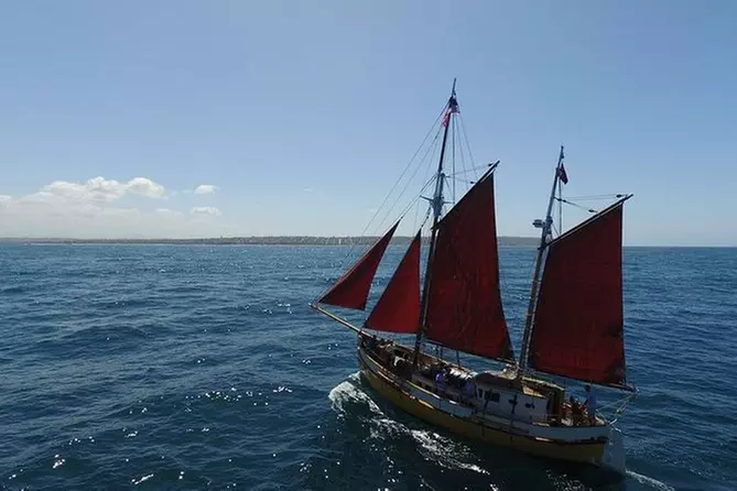 4 Hour Whale Watching/Eco Adventure - Primary Image