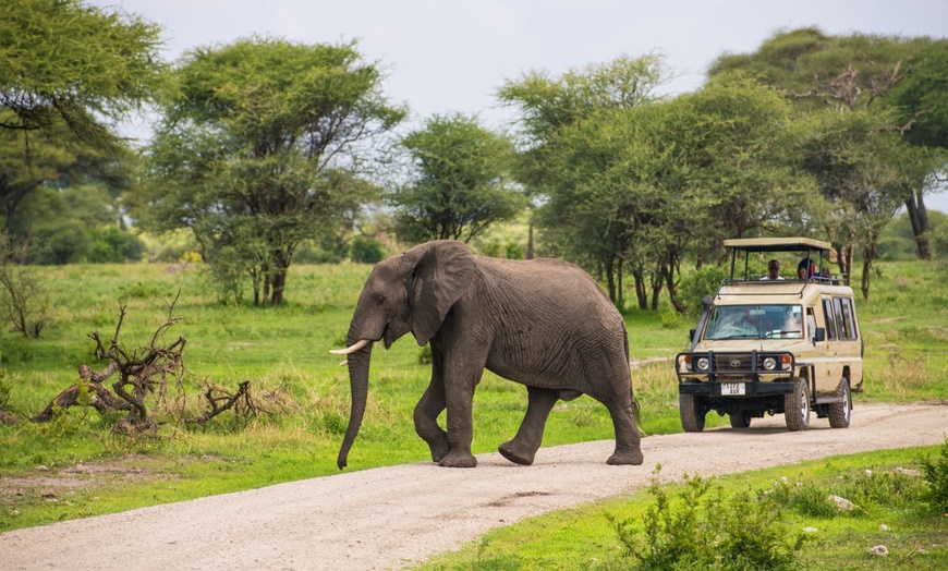 Image 3: ✈ TANZANIE | Du Kilimanjaro à Zanzibar - Les essentiels de la Tanza...