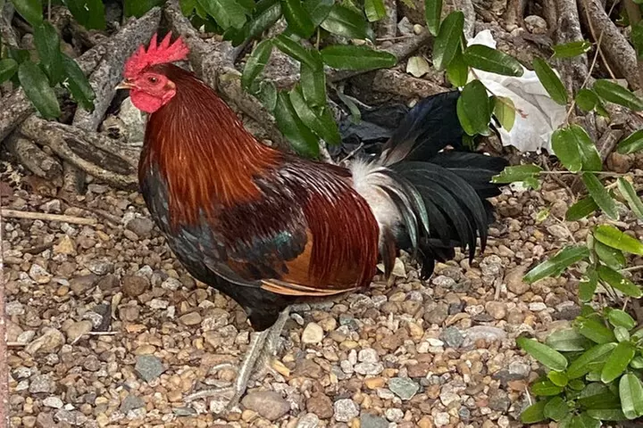 Ft. Lauderdale to Key West Day Trip Quality Day Tours