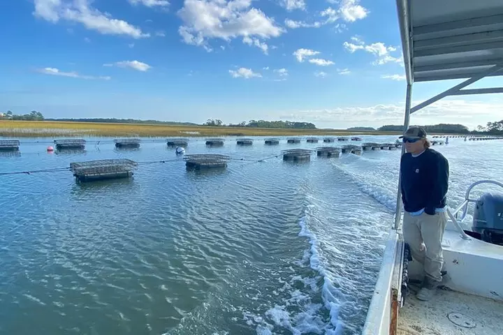 Small-Group Boat Tour of Charleston Oyster Farm - Primary Image