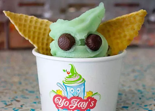 5% Cash Back at YoJay's Yogurt Treats