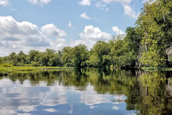 Guided Manatee Kayaking Tours through Blue Spring, State Park - Primary Image