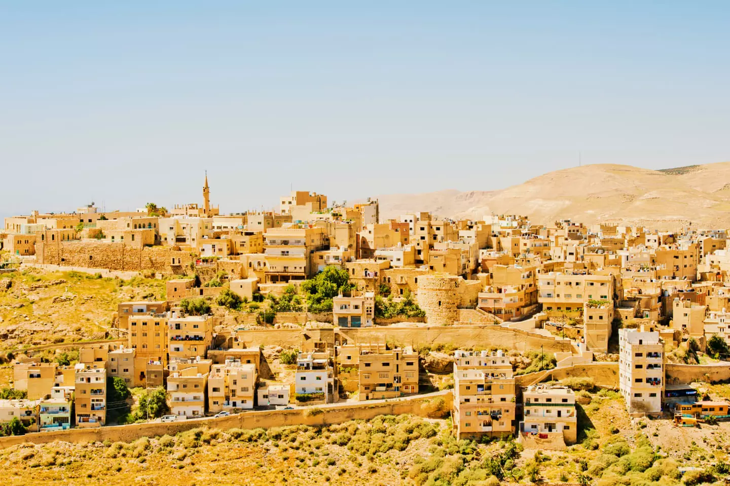 ✈ GIORDANIA | Da Amman al Mar Morto - Tour privato Tesori della Gio...