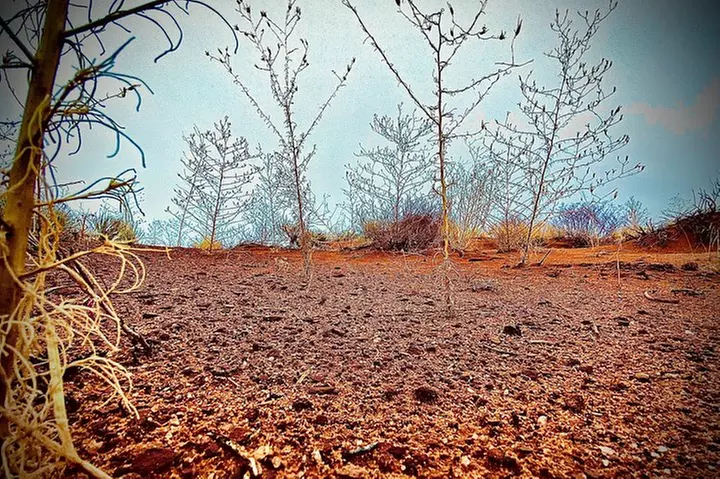 Monument Valley Extended Backcountry Tour