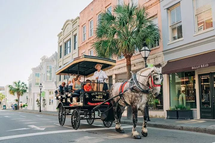 Charleston's Old South Carriage Historic Horse & Carriage Tour