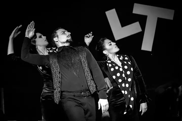 Visita guiada Segovia y Ávila y espectáculo flamenco en Madrid