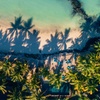 Image 17: ✈ ILE MAURICE | Belle Mare - Seasense Boutique Hotel & Spa 5*, 5 nu...