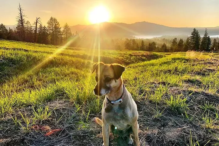Guided Hiking Tour in Big Bear with Sunset Champagne toast on Priva...