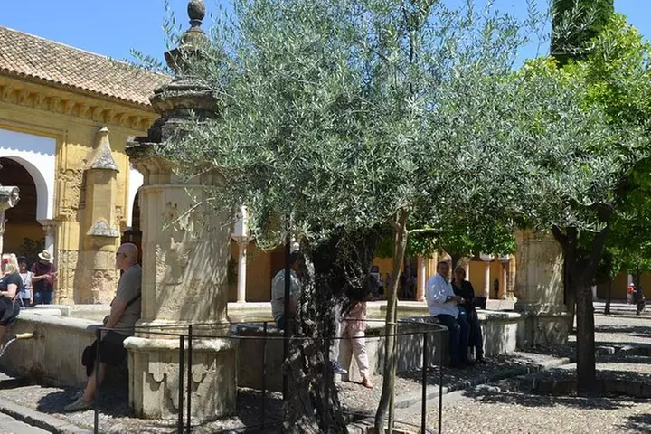 Tour de Historia de la Mezquita de Córdoba en Inglés Entradas inclu...