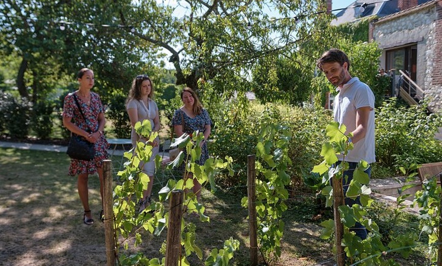 Image 2: Après-midi en Champagne visite et atelier de dégustation