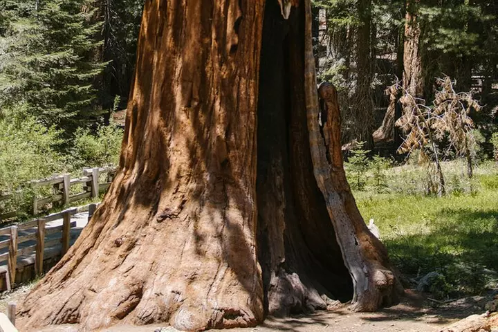 Yosemite National Park & Sequoias Private Tour from San Francisco