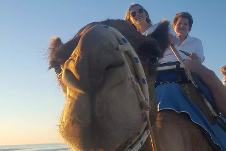 1 Hour Broome Sunset Camel Tour