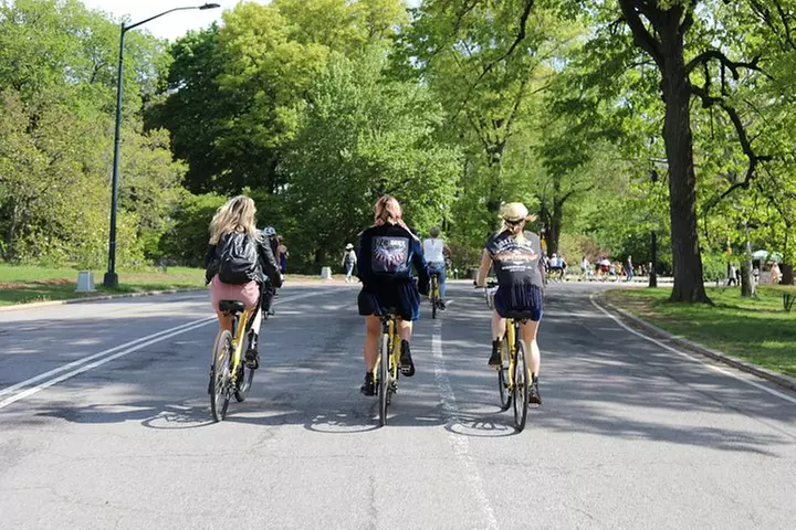 Highlights of New York City Guided Bike Tour (English or Dutch)