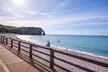 Excursion d'une journée à Étretat et Honfleur au départ de Paris Perles de la côte normande - Image 3