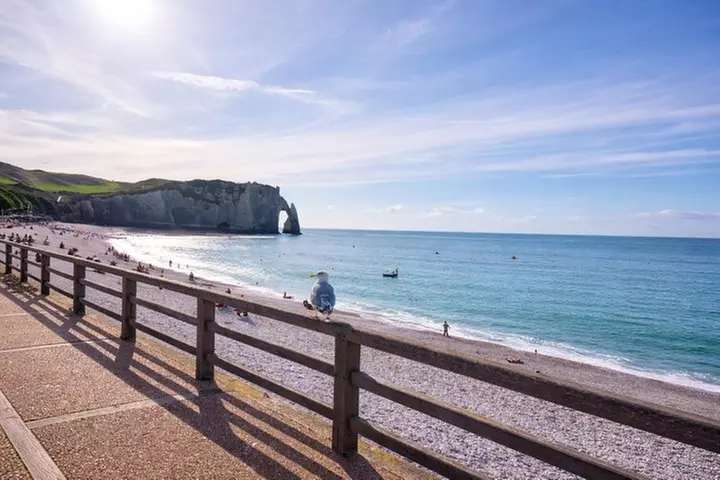 Excursion d'une journée à Étretat et Honfleur au départ de Paris Pe...