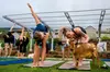 Goat Yoga with Miniature Goats In Maui