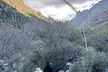 Guided Hike in the Sonoran Desert - Second Medium