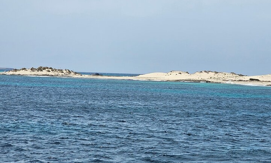 Image 46: Excursión de un día a Illetas en Formentera con Paella y Bebida
