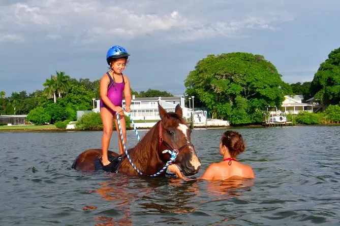 Horse Ride along the Beach with a Local Guide - Primary Image