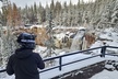 Guided Snowmobile Tours In The National Volcanic Monument - Second Medium