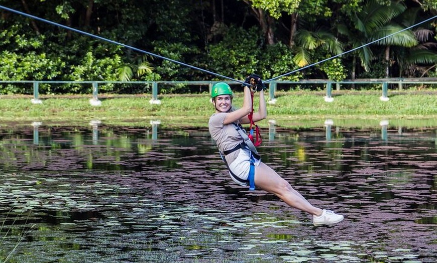 Image 5: Sunshine Coast Adventure Park TreeTop Challenge