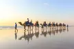 1 Hour Broome Sunset Camel Tour - Image 7