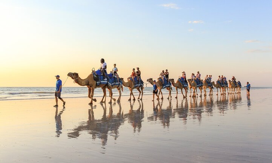 Image 7: 1 Hour Broome Sunset Camel Tour