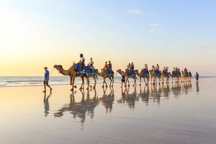 1 Hour Broome Sunset Camel Tour