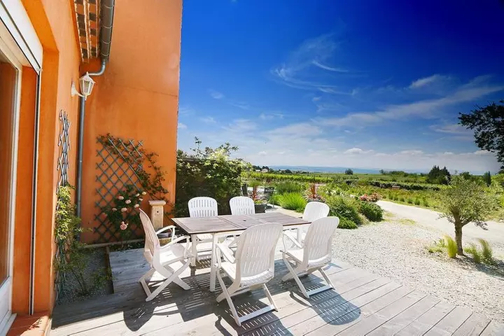 Visite d'un vignoble avec repas et vin à Carcassonne - Primary Image