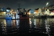 Romantic Luxury Boat Cruise with Wine Cheese Sea LionTours - Second Medium
