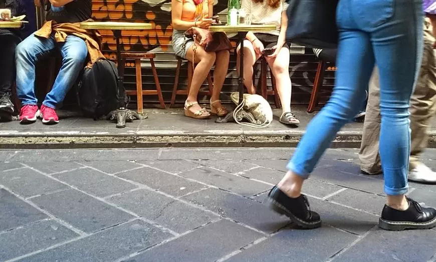 Image 7: Original Melbourne Lanes and Arcades Walking Tour