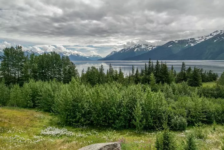 Alaska Wildlife Day Tour with Free Hotel Pickup