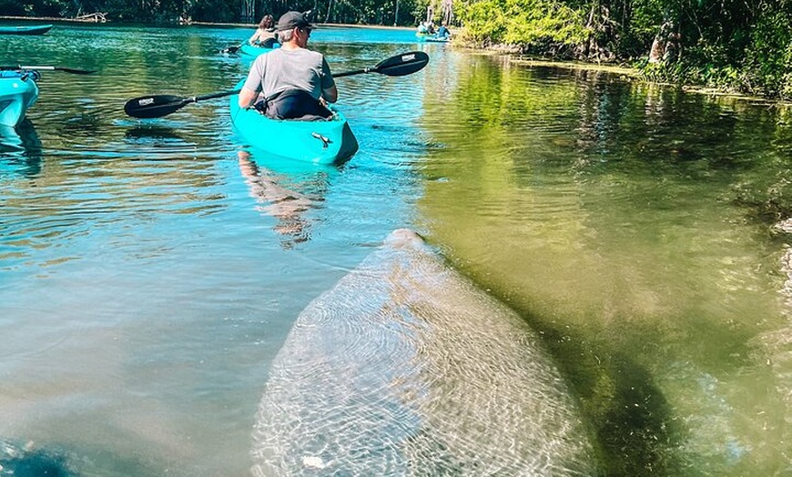 Wet Rabbit Kayaks - Wet Rabbit Kayaks 