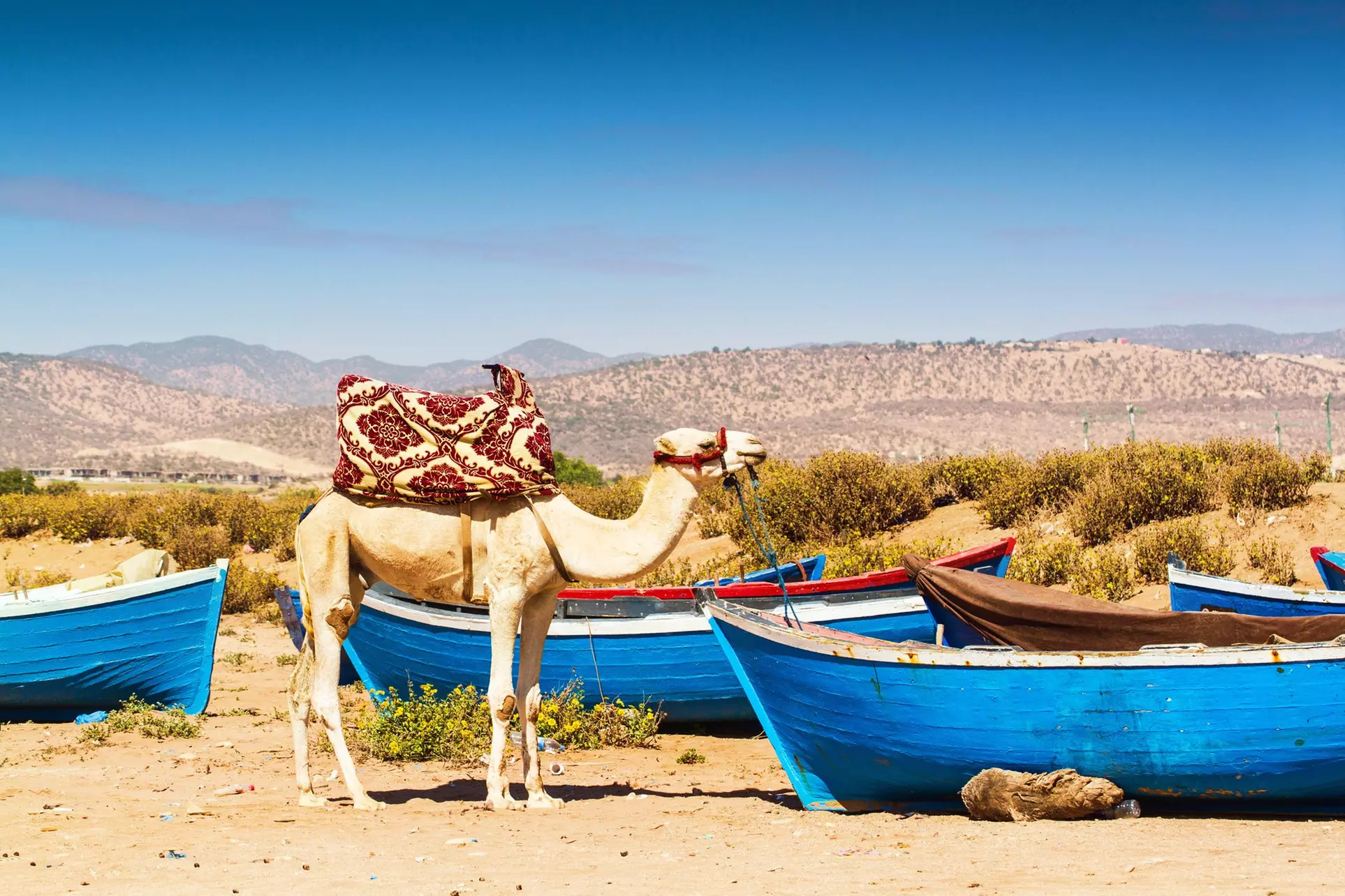 ✈ MAROC | Agadir - Anezi Tower Hotel & Apartments 3*, 2 nuit - Pisc...