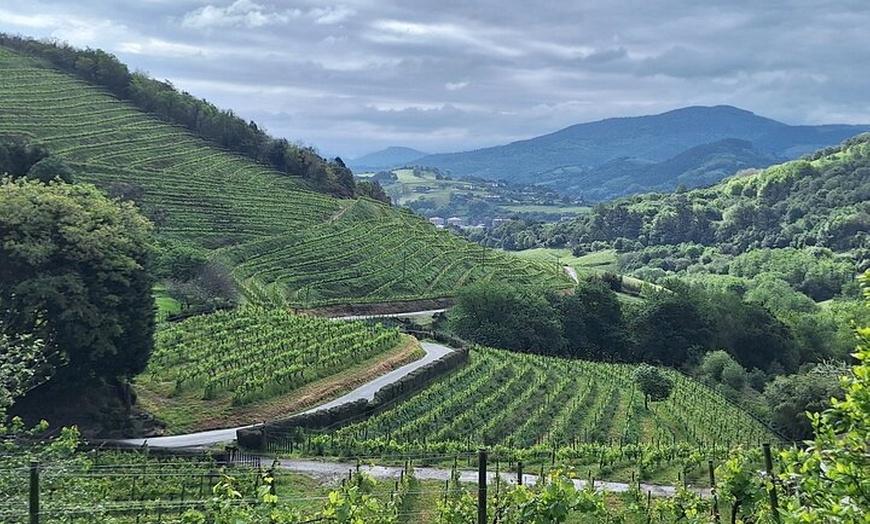 Image 4: Senderismo por el Camino de Santiago desde San Sebastián