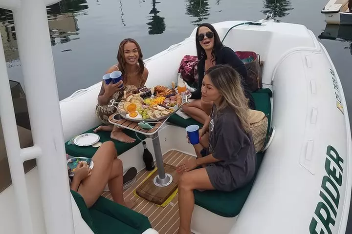 Private Dolphin and Whale Watching Tour in Newport Beach