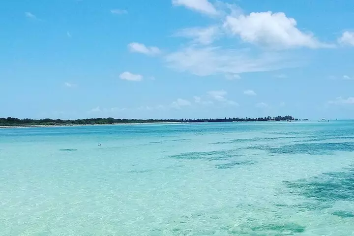 Half-Day Private Guided Key West Snorkeling and Sandbar Tour - Primary Image