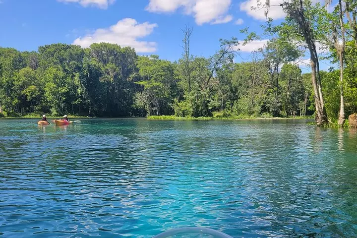 Clear Canoeing and Wildlife Sightseeing at Silver Springs