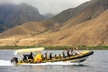 3 Hours Guided Koa Kai Snorkel Adventure & Sunset Combo - Second Medium