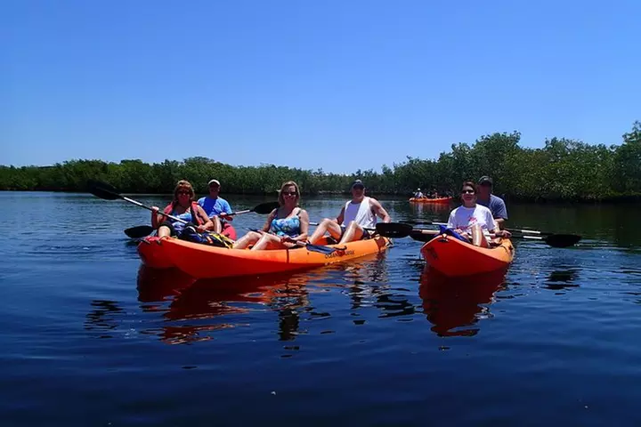 Explore Mangrove Creeks with an All Day SUP/single kayak Rental