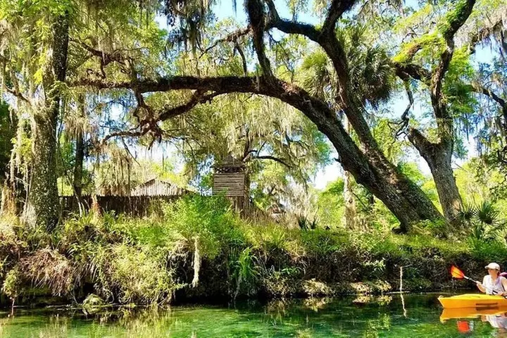 Orlando Kayaking Tour - Primary Image
