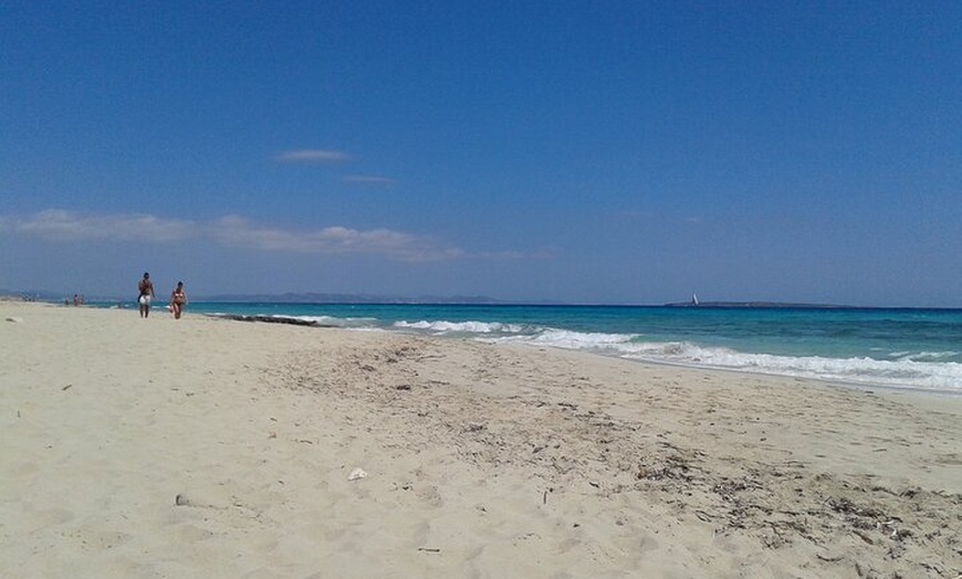 Image 4: Excursión a Formentera desde Ibiza con Transfer y Playas