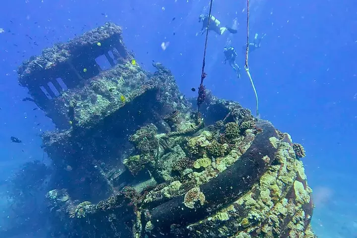 4 Hour Guided Scuba Diving Adventures in Waikiki