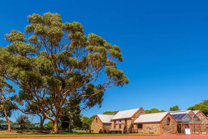 McLaren Vale and Glenelg Wine Tasting and Sightseeing (Half-day Afternoon) - Primary Image