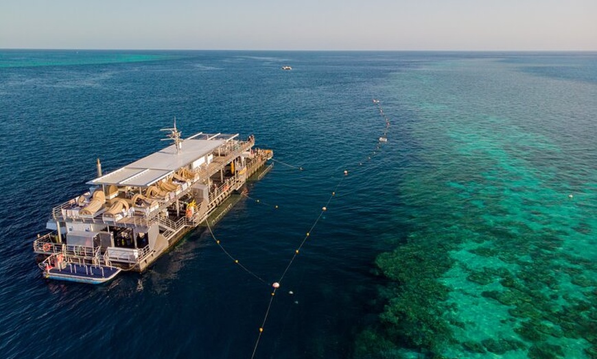 Image 3: Great Barrier Reef Full Day Adventure