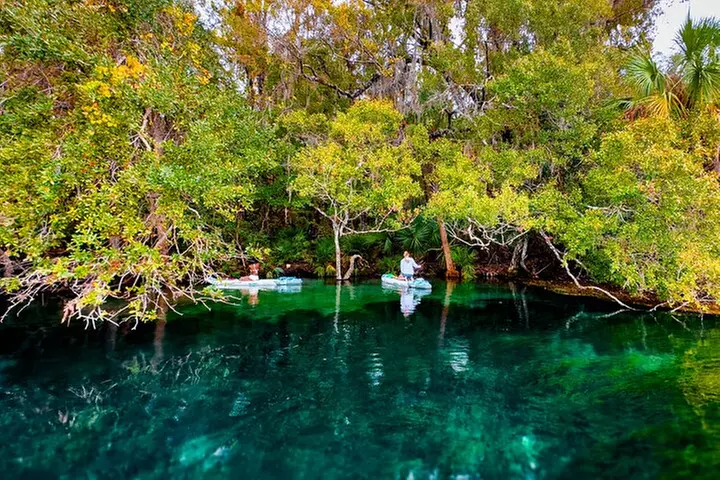 Rainbow Springs Paddle Board & Kayak Adventure