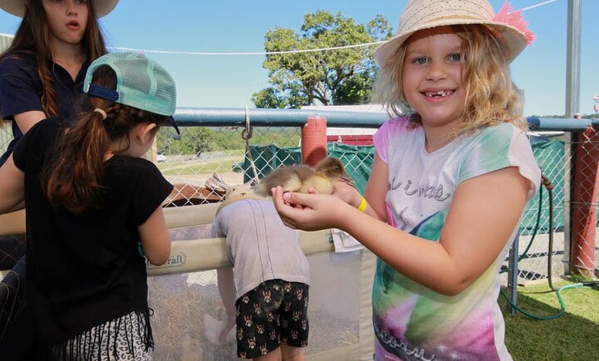 Image 7: Horse and Quad bike tour with a visit to a Petting Zoo