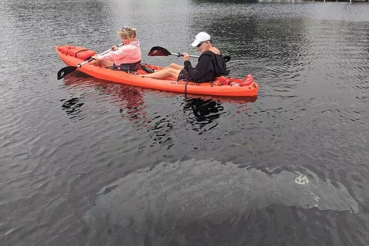 4 Hour Single Kayak Rental In Crystal River, Florida