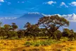 ✈ KENYA | Nairobi - Amboseli & Masai Mara Combined Trip 4*, 6 nights - Safari - Second Medium